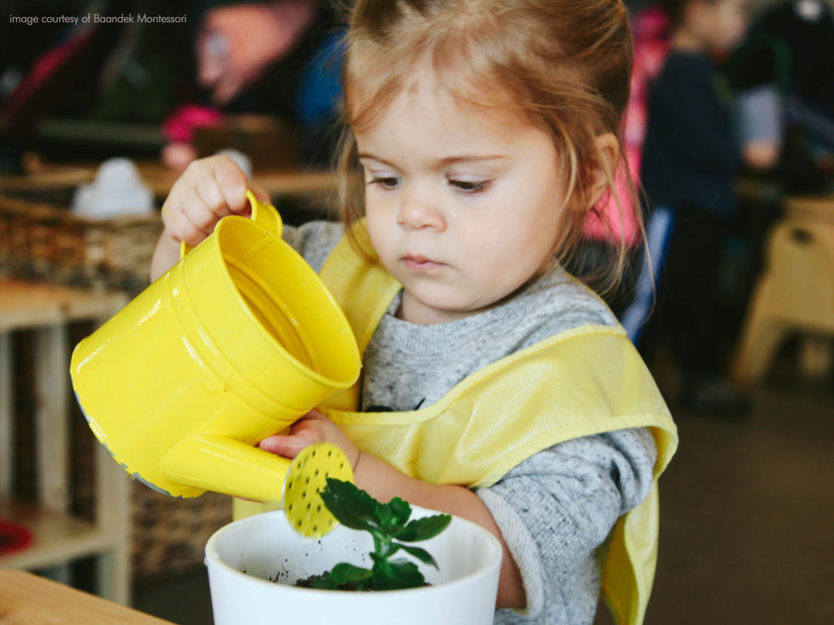 Child Watering plant