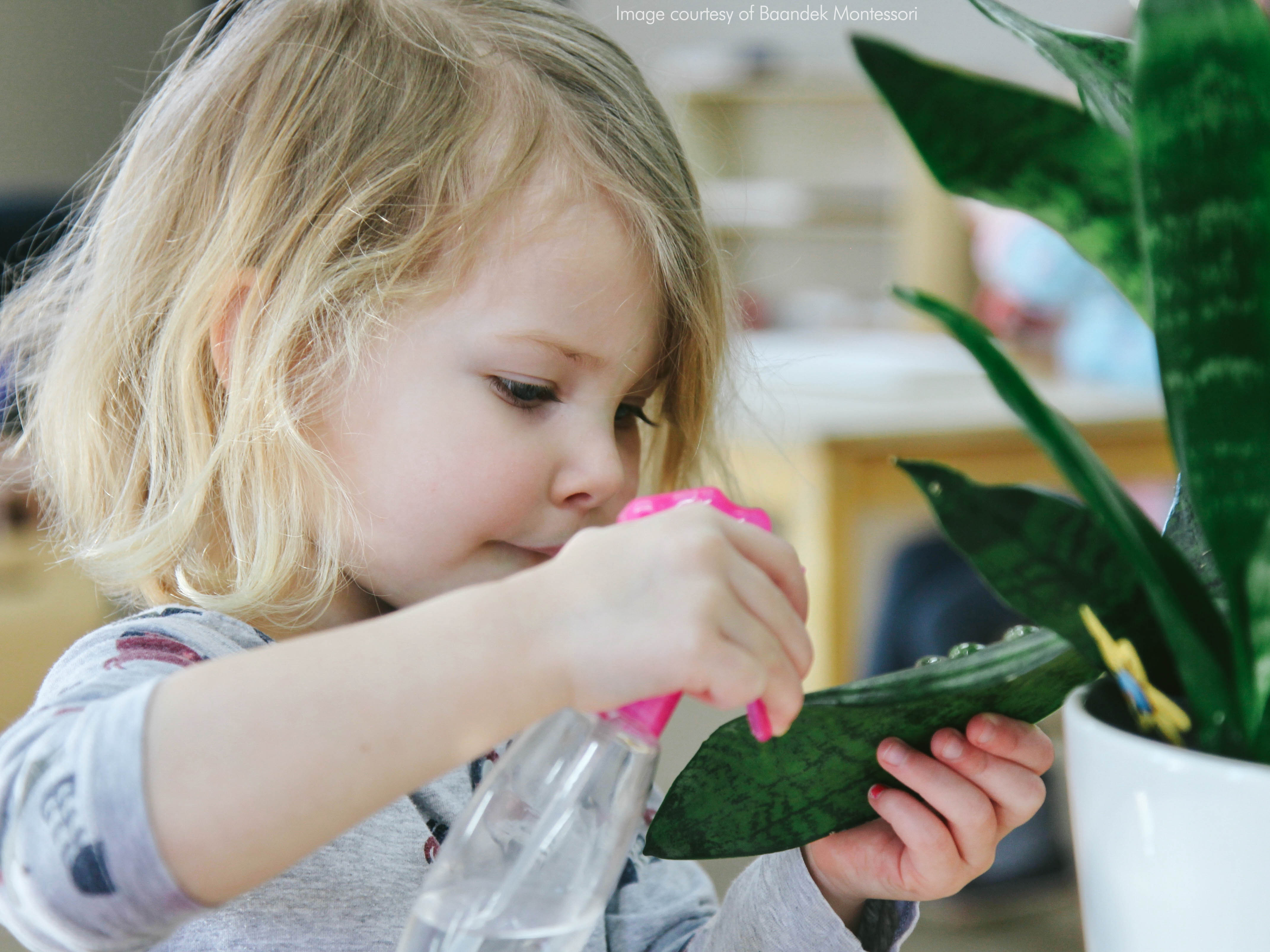 Child Cleaning Plant