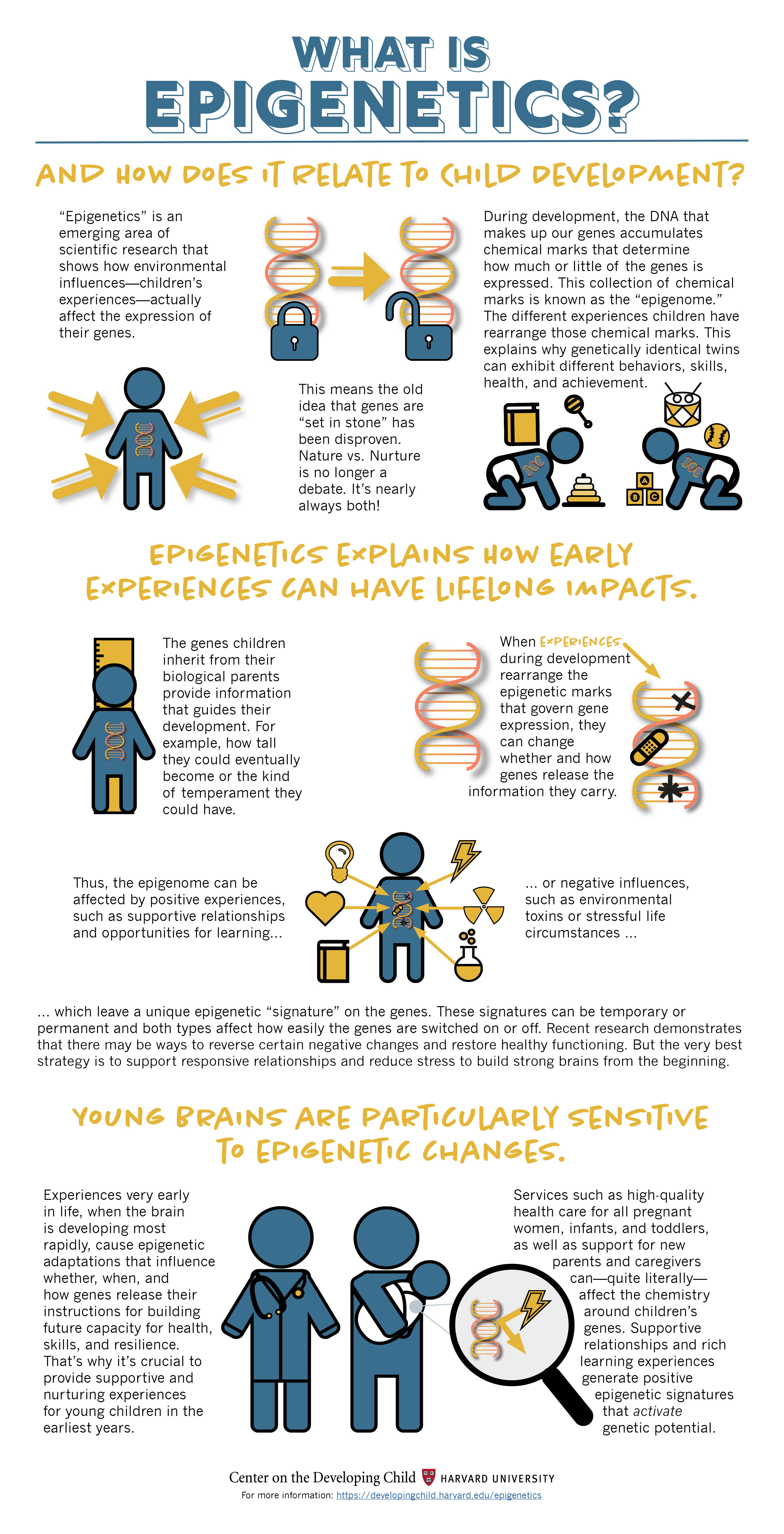 EpigeneticsInfographic_small - Northwest Montessori Preschool